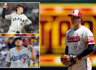 Shohei Ohtani, Julio Urias lead iffy 2024 free agent pitchers