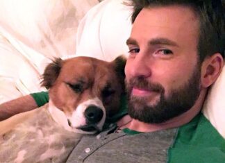 An Ode to Chris Evans' Cutest Moments With His Rescue Dog Dodger
