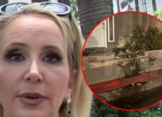 'RHOC' Shannon Beador Getting Treatment After DUI Arrest
