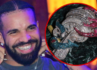 Drake's Newest Bling Is Custom 'Crown Jewel of Toronto' Chain