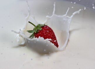 Bon Vivant toasts taking $15.9M to brew up versatile animal-free dairy proteins