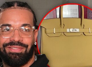 Drake Gives Away Brown Birkin Bag to Fan In Miami During 'Blur' Tour