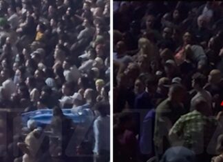 Adam Sandler Stops Comedy Show To Help Fan In Crowd With Medical Emergency