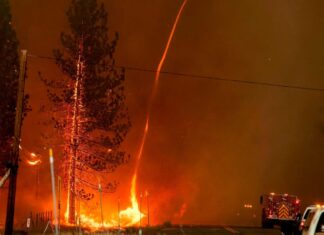 Perfect Storm Sets up Catastrophe Bonds for Record Returns This Year