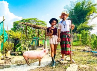 Millennial Couple Moved to Thailand During Pandemic, Lives Debt-Free