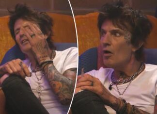 Tommy Lee drank 2 gallons of vodka a day: Liver ‘on crutches’