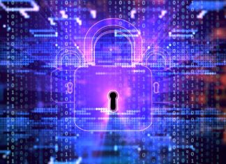 Arctic Wolf acquires cybersecurity automation platform Revelstoke