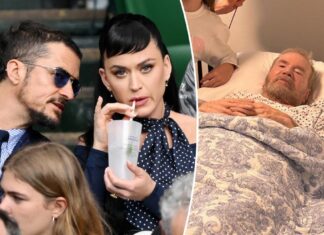 ‘Katy Perry Act’ proposed amid singer’s messy legal battle with retired vet