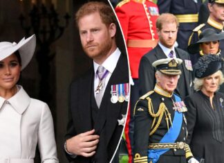 Meghan Markle’s final words before leaving royal family revealed