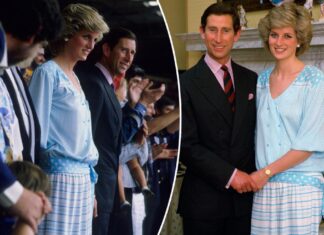 Princess Diana taunted Camilla with a blue polyester dress amid Charles marriage: royal author