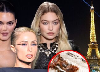 Paris Fashion Week Celebs Warned About Bringing Bed Bugs Home