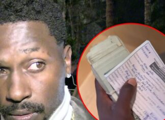 Antonio Brown Pays $15,000 Toward Child Support After Arrest