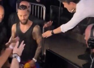 Maluma Swats Away Fan After Trying to Grab His Crotch