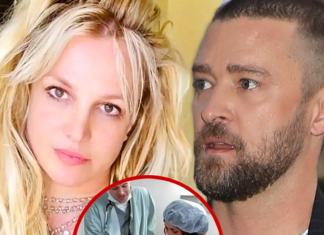 Britney Spears Supported by Pro-Life, Pro-Choice Orgs After Abortion Story