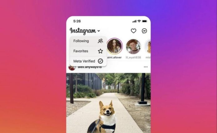 instagram-verified-feed-1.jpg