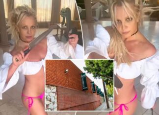 Britney Spears’ knife-dancing ‘saves’ struggling prop shop