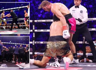 Security storms ring after Logan Paul-Dillon Danis fight in chaotic scene