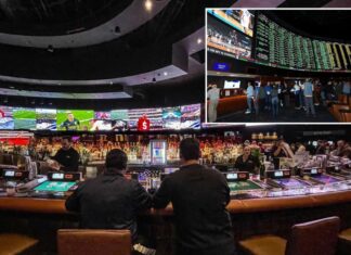 Artificial intelligence can help personalize sports betting: ‘It’s not like Netflix’