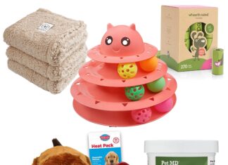 Pet Parents Swear By These 15 Problem-Solving Products