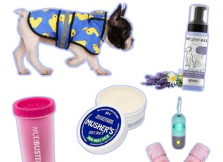 21 Dog Walking Products to Make Your Daily Strolls Less Ruff