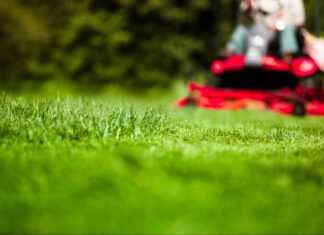Mowing Down Barriers: Side Hustle Hits $3M Summer Surge