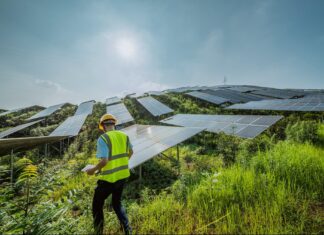 6 Tips to Invest in Renewable Energy Now