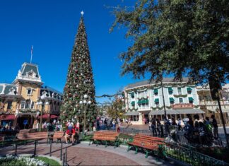 One Hospitalized After Pole Falls Down at Disneyland