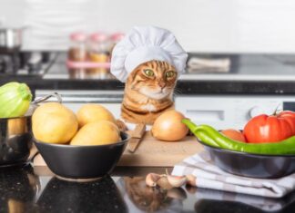 Funniest, Wildest & Pettiest Office Potluck Tweets (2023 Edition)