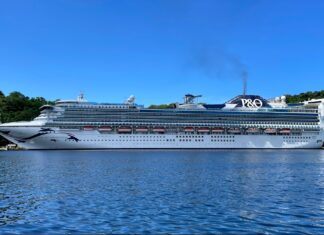 Cruise Ship Denied Port Entry Over Dirty Hull, Banned Shells