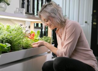 The best techy plant gifts for green thumbs in 2023