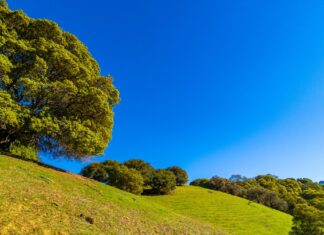 How come founders don’t give a crap about sustainability?