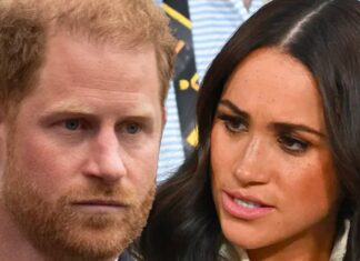 Meghan Markle Told King Charles Two Royals Questioned Archie’s Skin Color