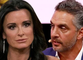 Kyle Richards & Mauricio Umansky Not in Therapy Together As Separation Continues