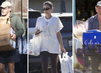 Celebrities Shopping for Groceries Ahead of Holidays