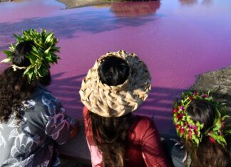 Tourists Are Flocking to Strange Bubblegum-Pink Pond in Hawaii