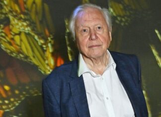The Real David Attenborough Is Distressed by AI-David Attenborough