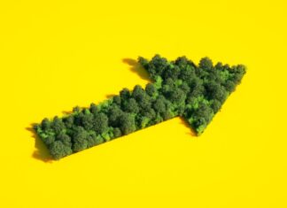 Congruent starts raising fresh $250M early-stage climate tech fund