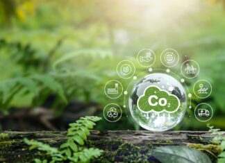 Avarni gets backing to help large enterprises hit their net-zero goals