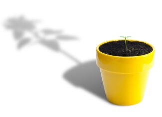 Good news, startups: Q3 software results are changing the tech narrative