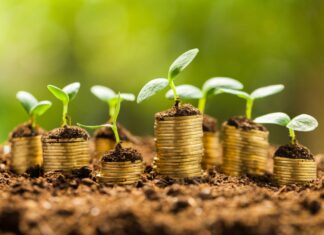 3 ways startups can improve survival odds in a tough economic landscape