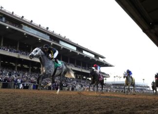 2023 Breeders Cup Promo Codes, Sign-Up Bonuses & Offers