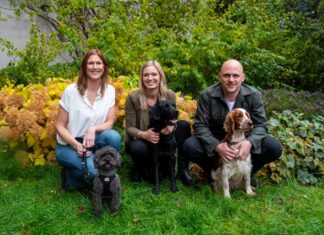 As pet owners turn to mobile insurance apps, Lassie raises $25M Series B led by Balderton