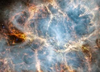 James Webb snaps an image of the famous Crab Nebula