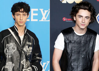 Troye Sivan Reacts to Timothee Chalamet’s ‘SNL’ Impression of Him – Hollywood Life