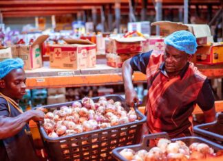 Online grocery startup Pricepally to expand in Nigeria backed by $1.3M funding