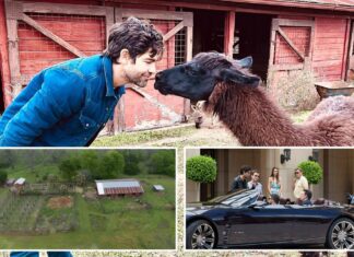 Exclusive look into Adrian Grenier’s 46-acre Texas ranch