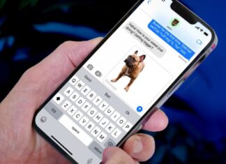 iOS 17: how to use photo cutout to cut and paste images