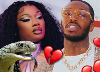 Megan Thee Stallion Hints On New ‘Cobra’ Track Pardison Fontaine Cheated