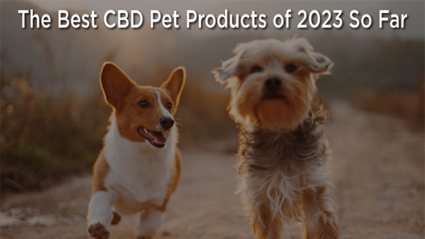 cbd-pet-ftr.jpg