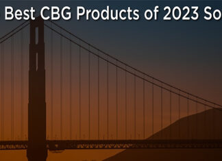The Best CBG Products of 2023 So Far – Hollywood Life